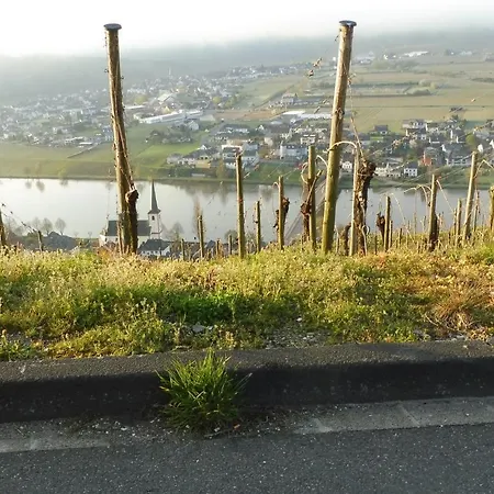 Lejlighed Mit Moselblick *