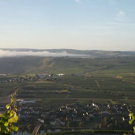 Mit Moselblick * ピースポルト