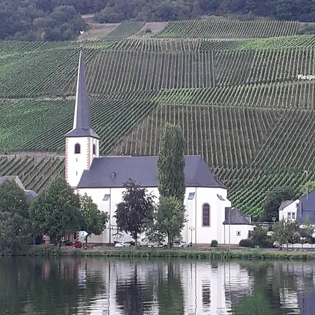 Mit Moselblick *