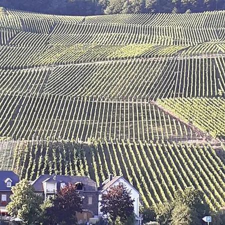 Mit Moselblick Daire