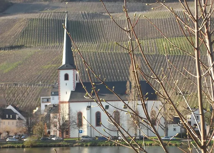 Mit Moselblick * פיספורט