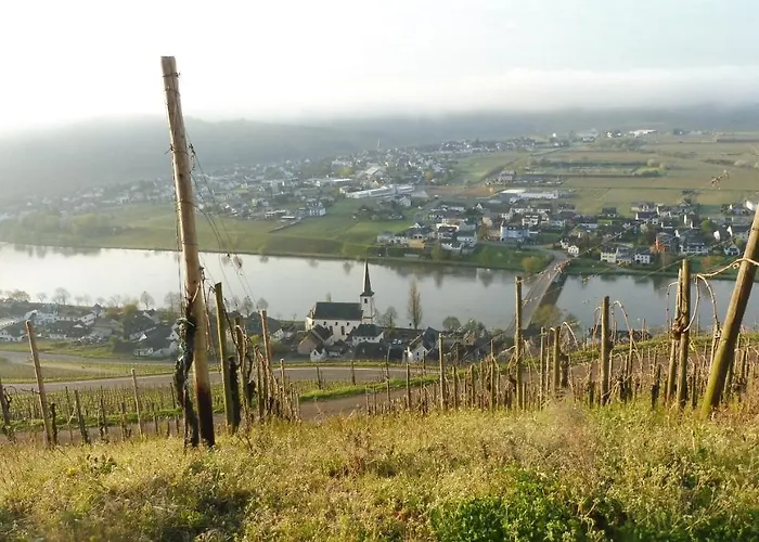 Mit Moselblick דירה