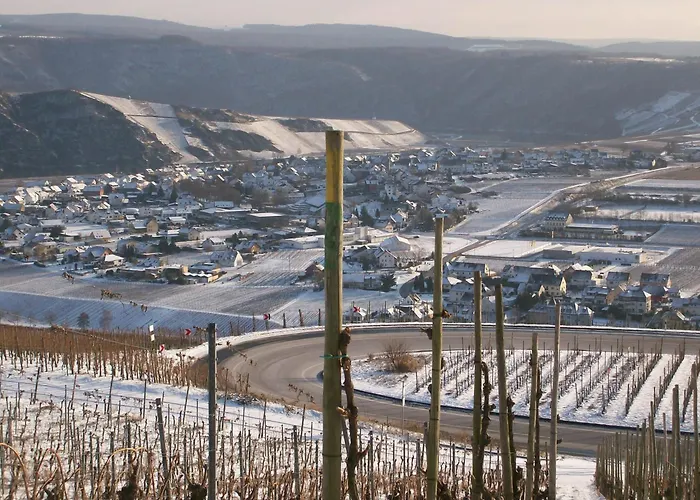 Mit Moselblick פיספורט