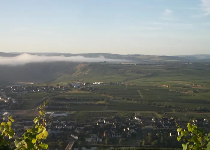 Mit Moselblick * פיספורט